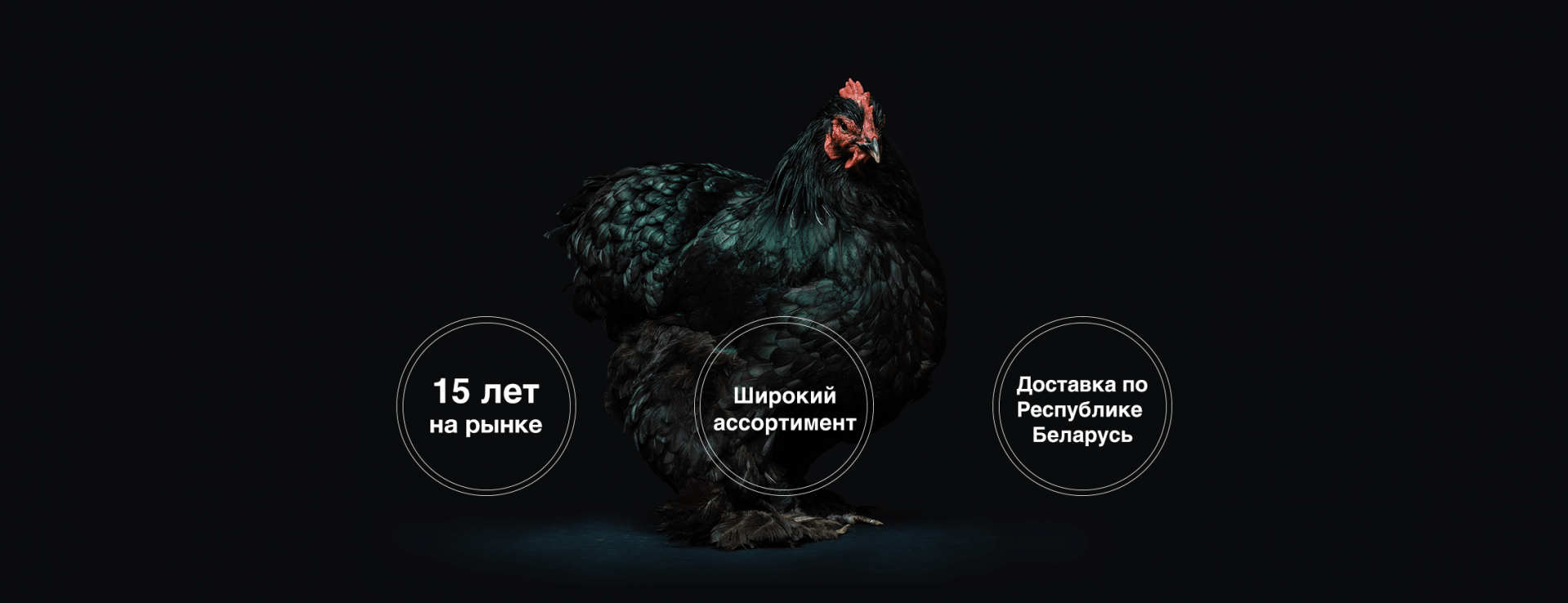 Преимущества компании Биотехпром. Ветеринарные препараты